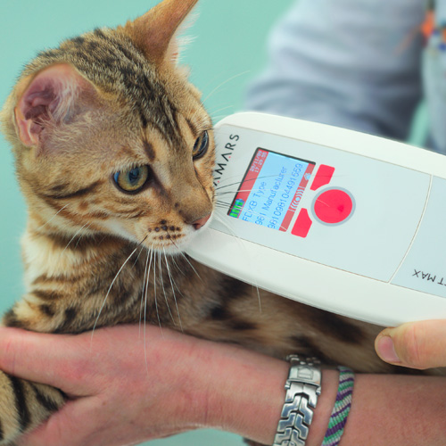 LETTORE MICROCHIP COMPACT MAX DATAMARS in Lettori Microchip da Agri Zoo,  Zootecnica e Tutto per il Cavallo