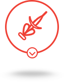 product-3 datamars product icon