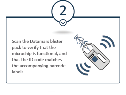 What you should know about Pet ID | Datamars Pet ID