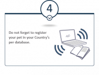 What you should know about Pet ID | Datamars Pet ID